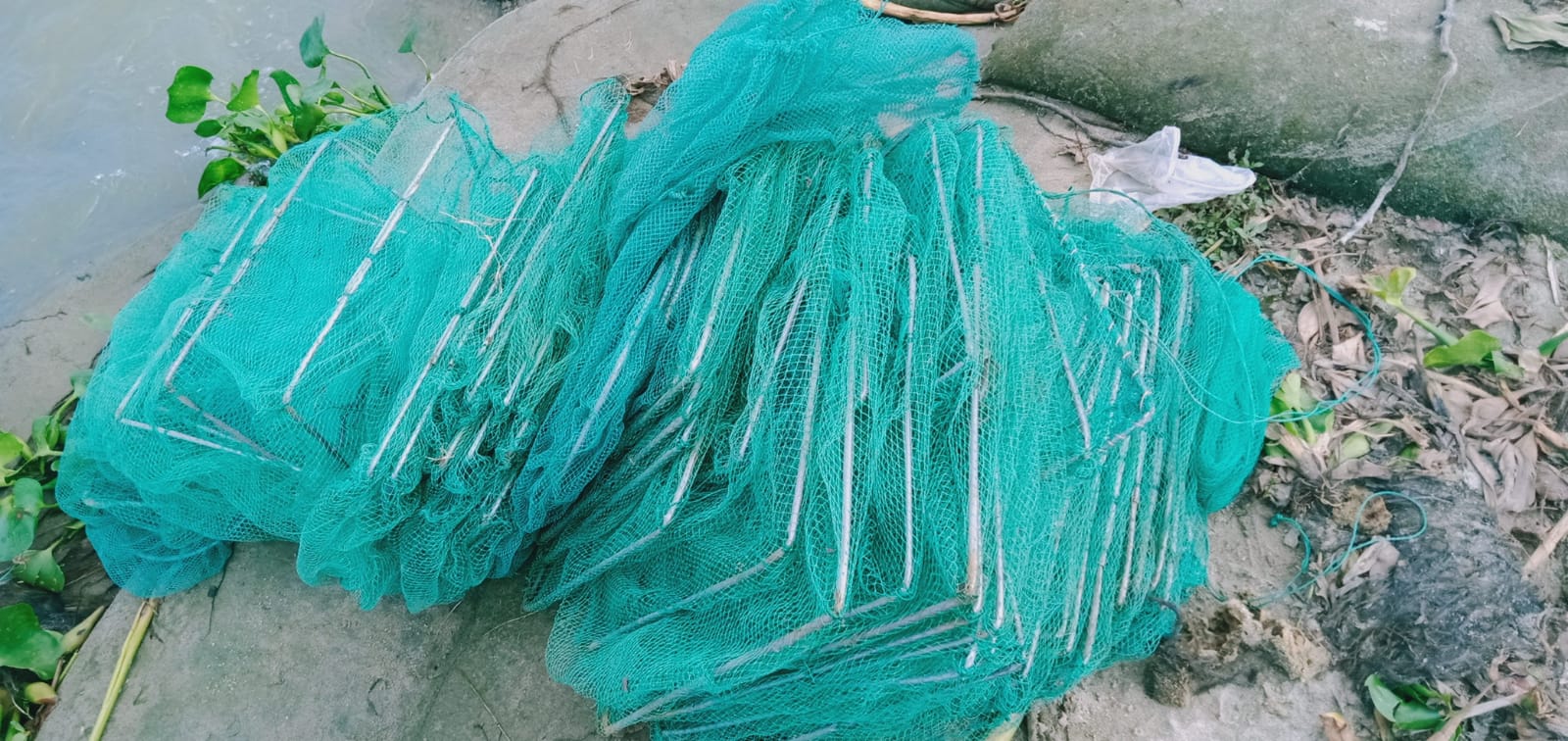 চায়না দুয়ারী জাল