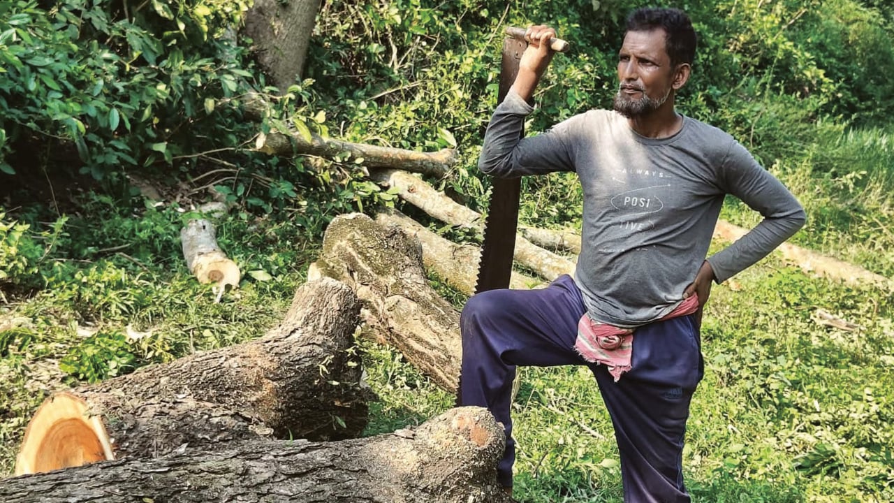 বোয়ালমারীতে খাল খননের আড়ালে শতাধিক গাছ কাটার অভিযোগ