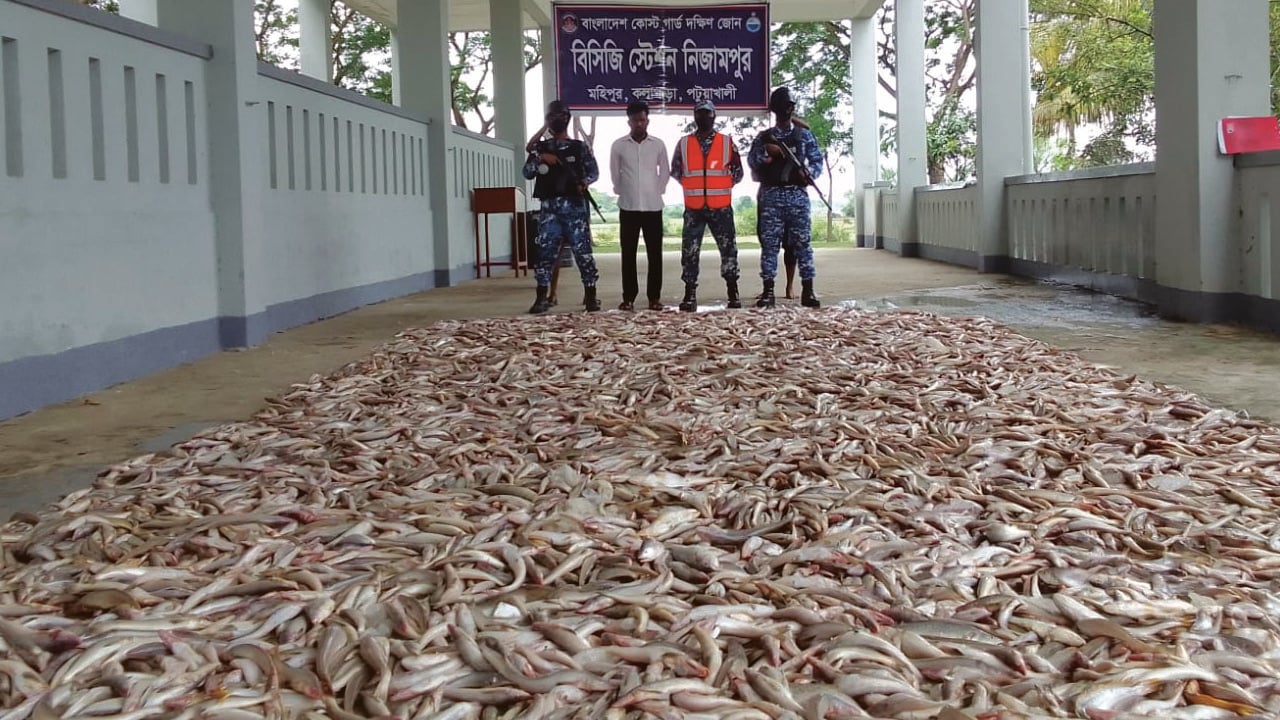 কুয়াকাটায় ৫ লাখ টাকার সামুদ্রিক মাছ জব্দ