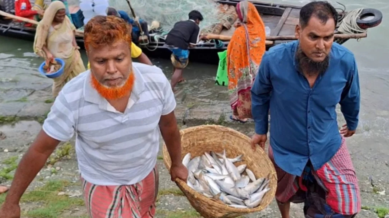 ইলিশের মৌসুম শুরু, তবে প্রত্যাশা পূরণ হচ্ছে না জেলেদের (2)