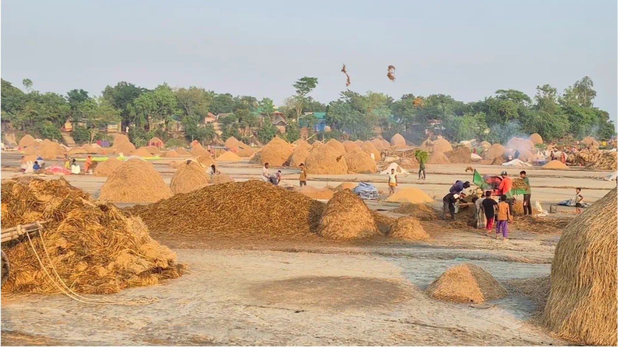 মাড়াই