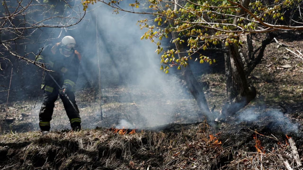  ভয়াবহ দাবানলে পুড়ছে জাপান