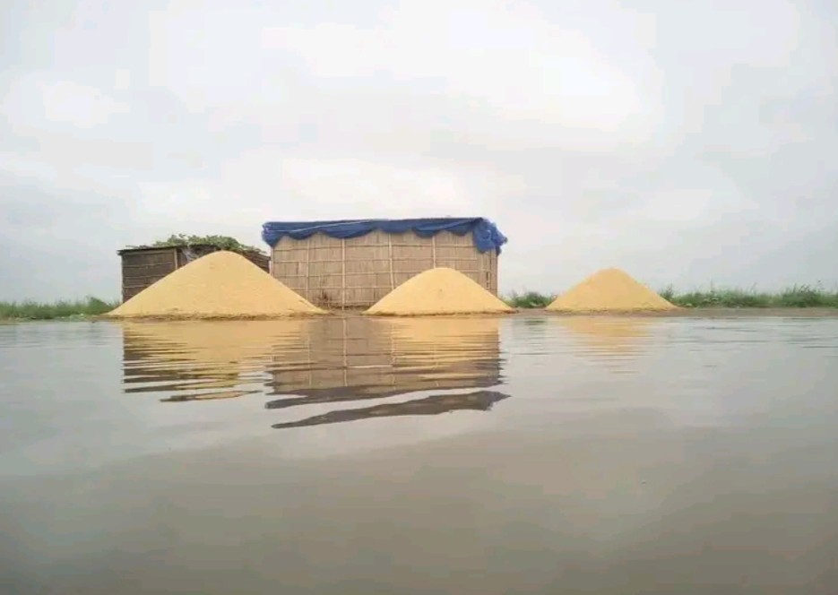ধান (2)