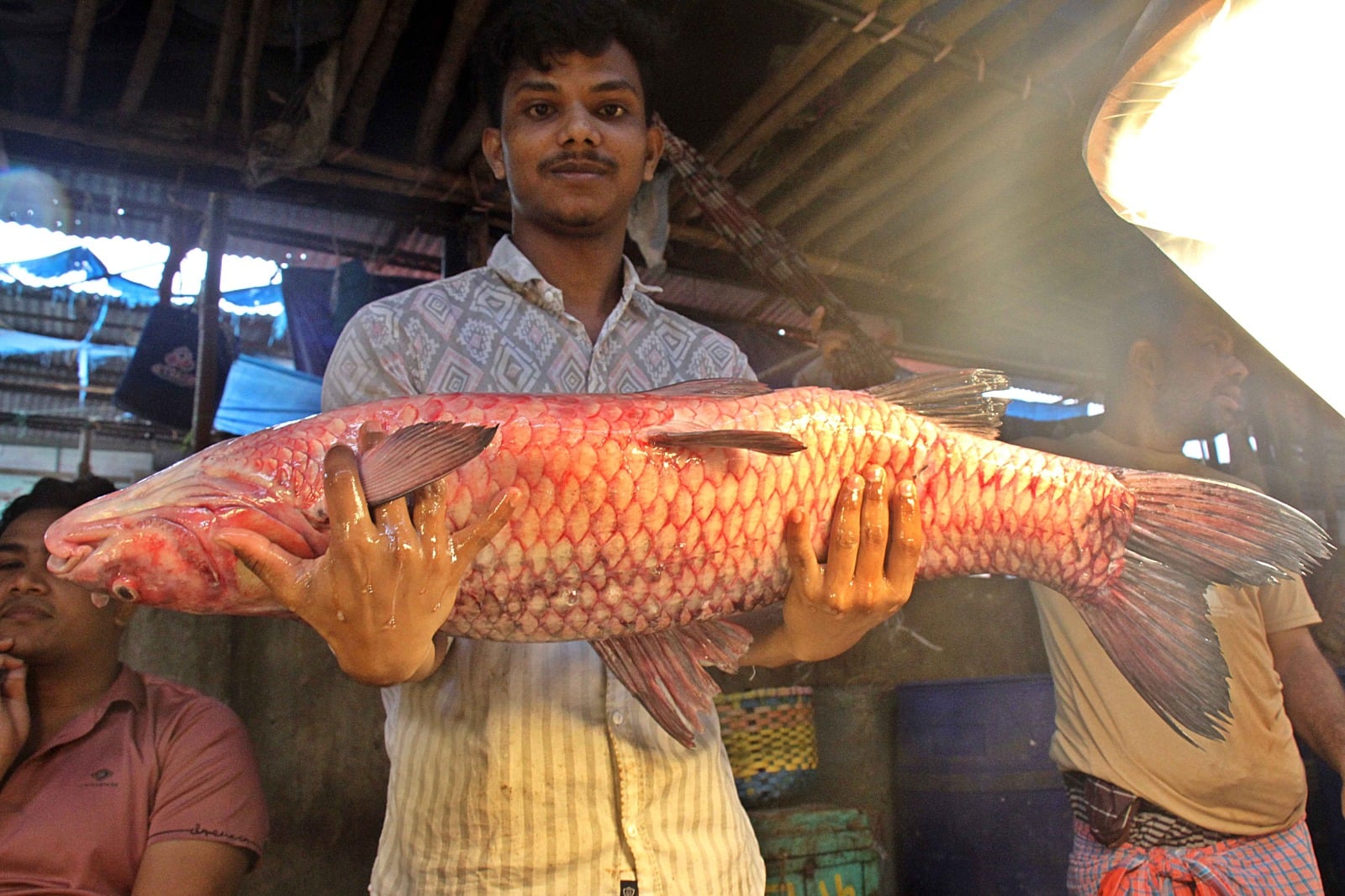 বিশাল আকৃতির মাছ হাতে এক বিক্রেতা