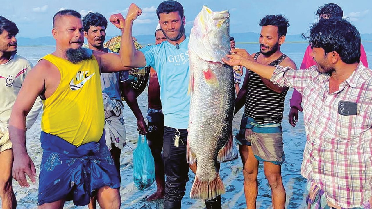 নাফ নদীতে ধরা পড়লো ২৫ কেজির কোরাল