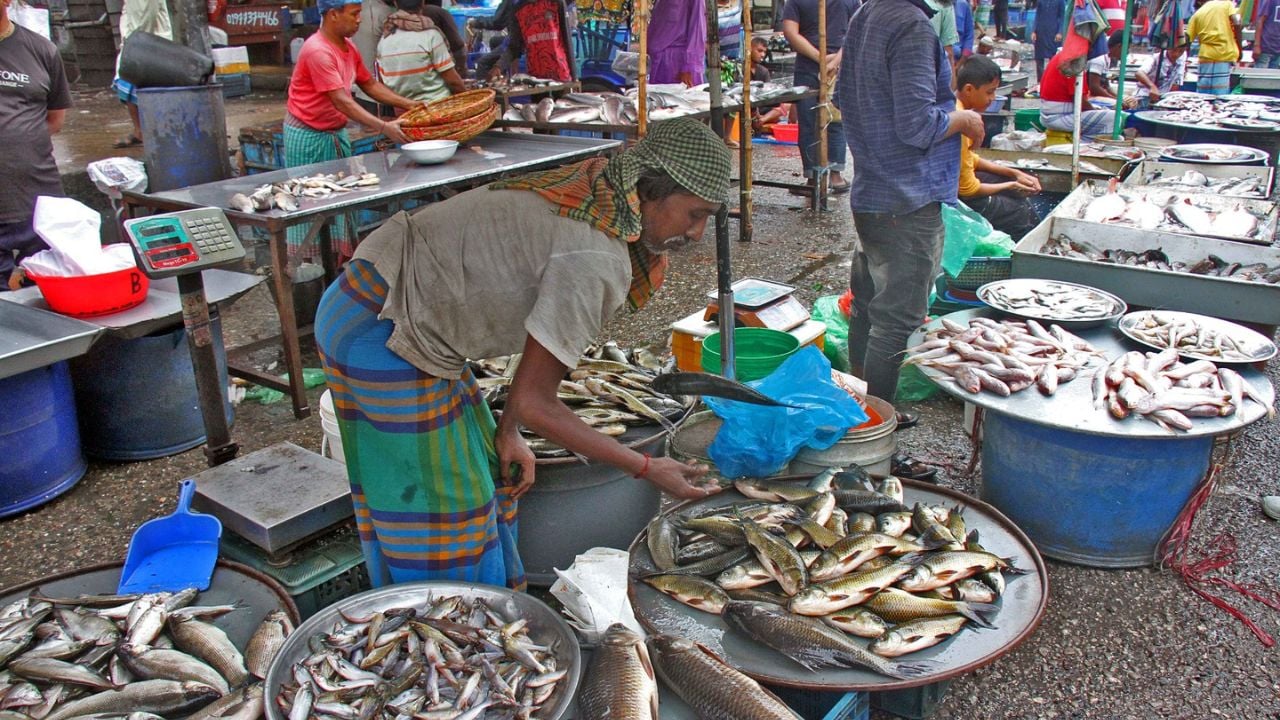 রাজধানীর অন্যতম ও বৃহত্তম মাছের বাজার