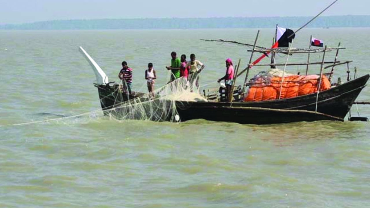 ইলিশের মৌসুম শুরু, তবে প্রত্যাশা পূরণ হচ্ছে না জেলেদের