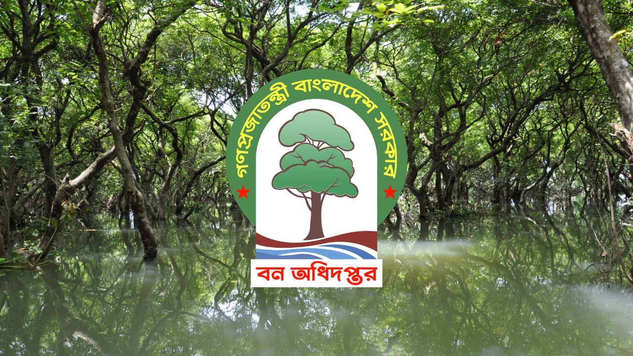 বন অধিদপ্তরে বড় নিয়োগ, পদ ৩৮২