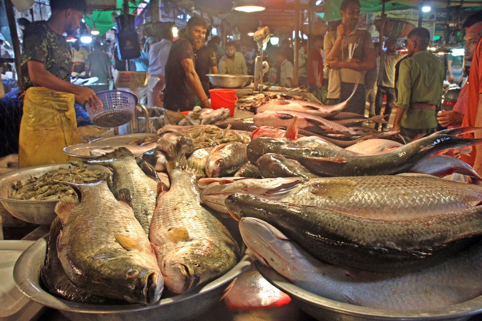 প্রতিদিন ভোর ২টা থেকে সকাল ১০টা-১১টা পর্যন্ত চলে কেনাবেচা