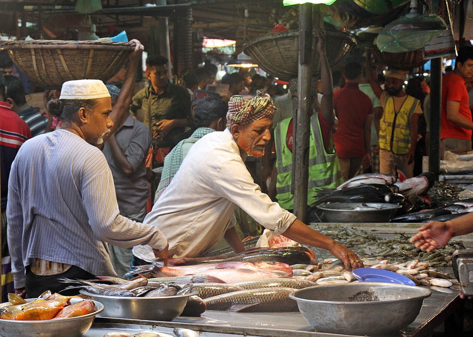 পাইকারদের জন্য এটি একটি প্রধান হাব, যেখানে প্রতিদিন বিপুল পরিমাণ মাছের ট্রাক আসে