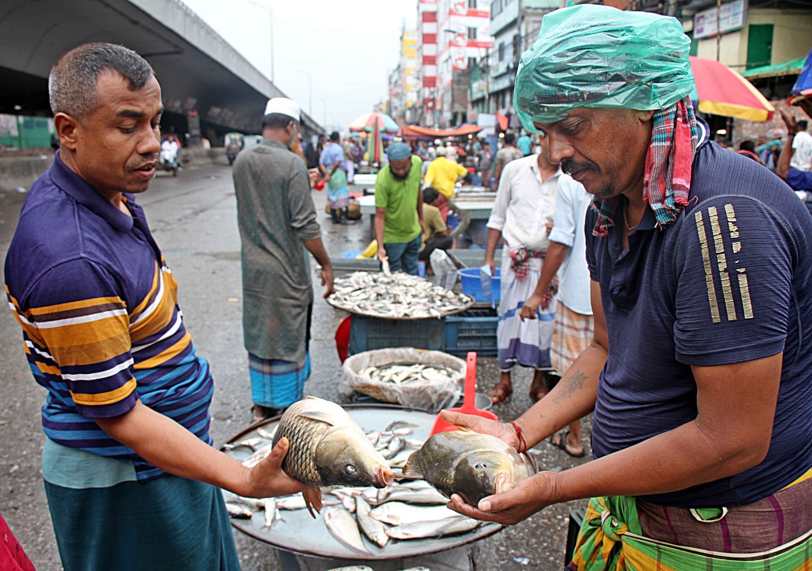 স্থানীয় খুচরা বাজারের তুলনায় এখানে প্রায় ৩০-৪০% কম দামে মাছ পাওয়া যায়