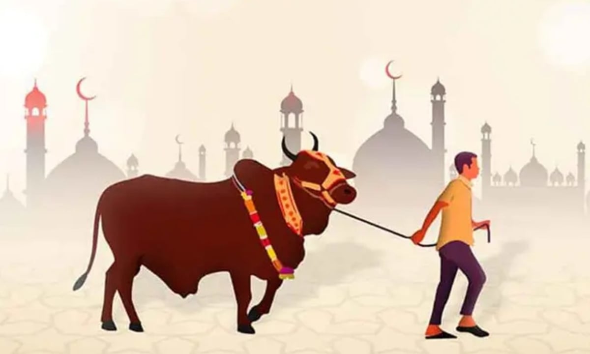 ঈদুল আজহা: কাদের জন্য কোরবানি ফরজ বা ওয়াজিব 