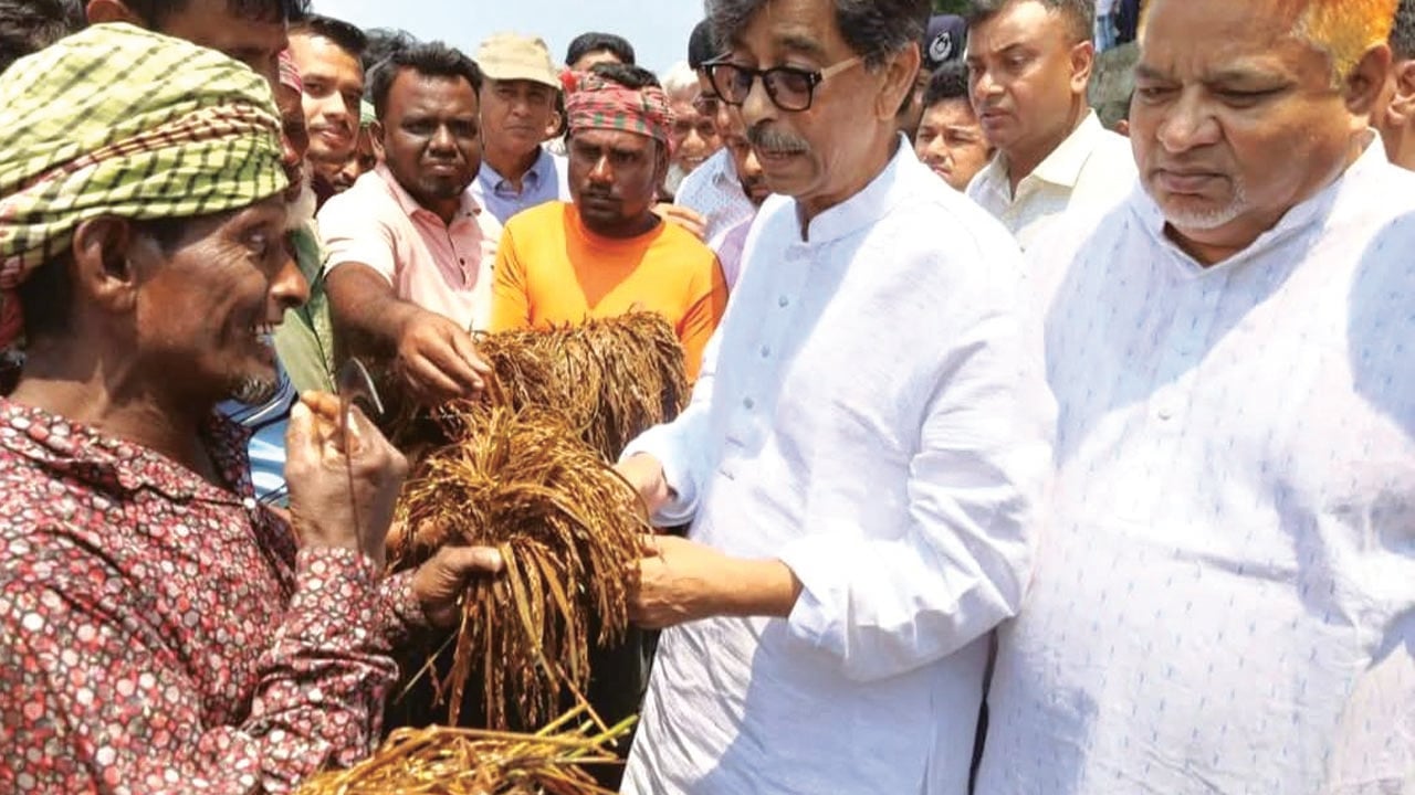 ধানটা এরকম পচলে আমিও বুঝতাম কত কষ্ট: কৃষিমন্ত্রী