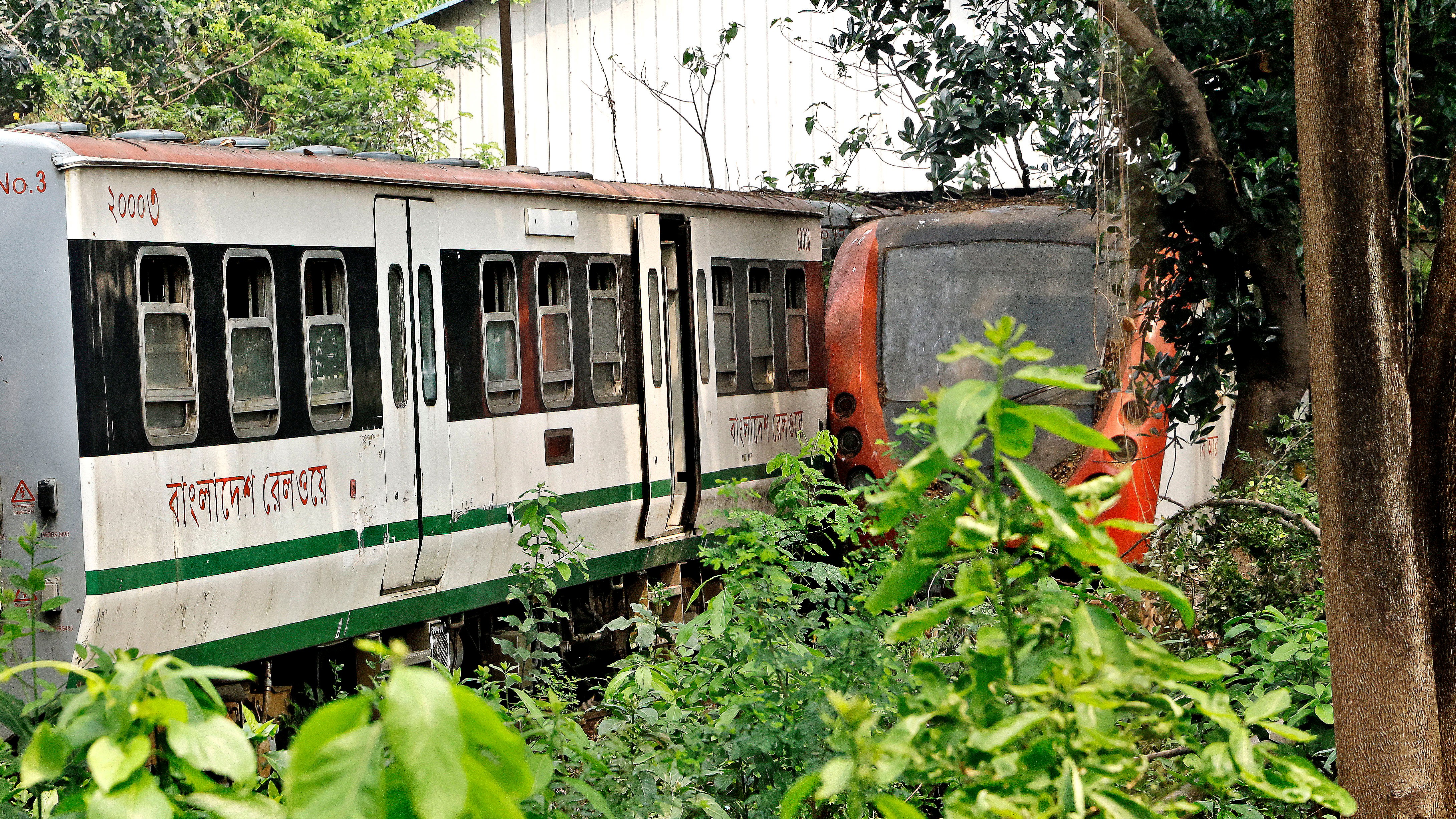 ট্রেনের চারপাশে জন্মেছে গাছ