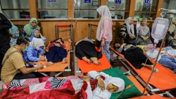 ইন্দোনেশিয়ায় বিনামূল্যের খাবার খেয়ে ৫ শতাধিক স্কুল শিক্ষার্থী অসুস্থ