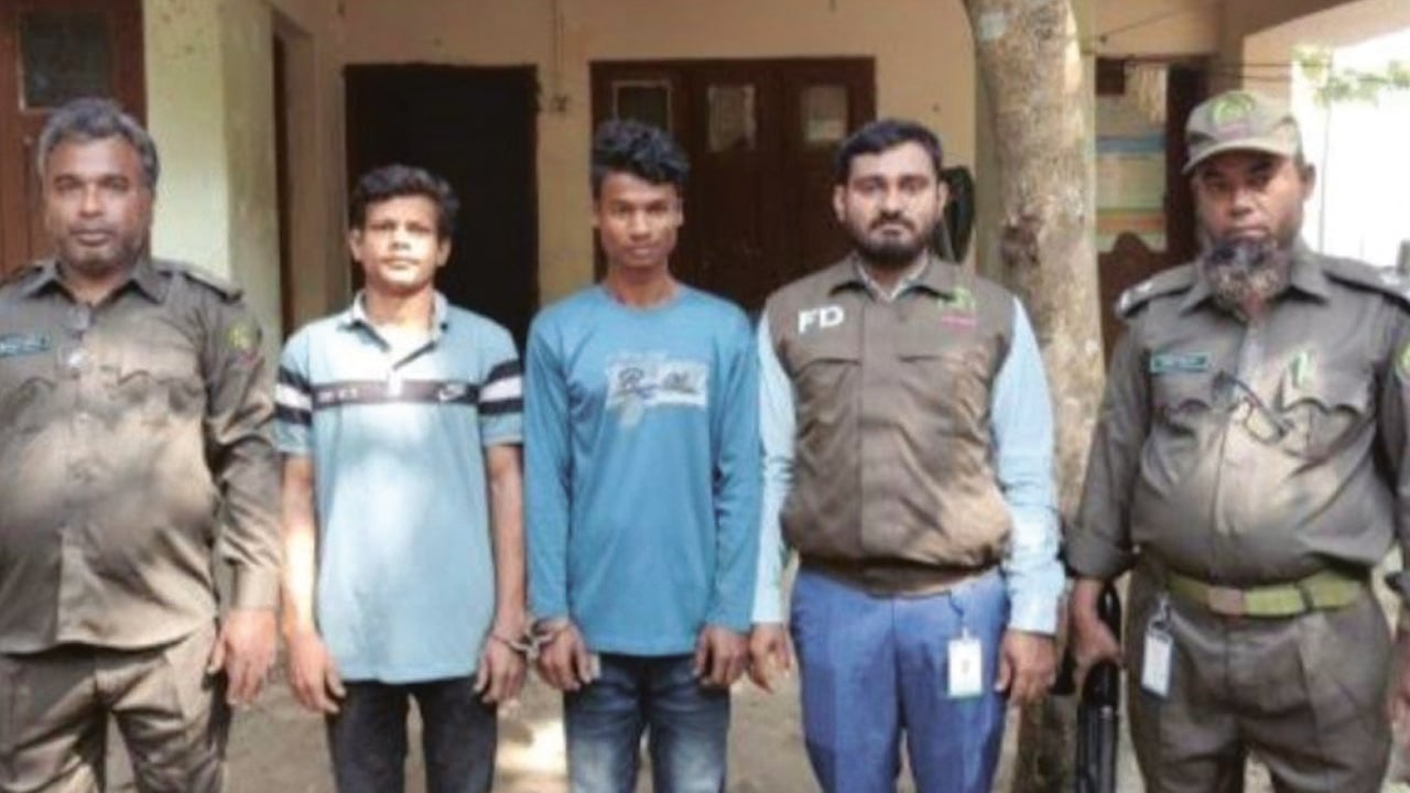 কক্সবাজারে সংরক্ষিত বনের গাছ কাটার সময় গ্রেপ্তার ২