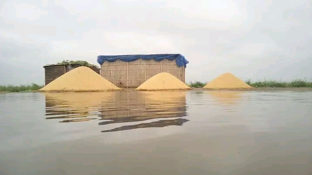 চারদিকে পানি থইথই। কোথাও একটু উঁচু জায়গা পেলেই এভাবে ধান সংগ্রহ করছে মানুষ