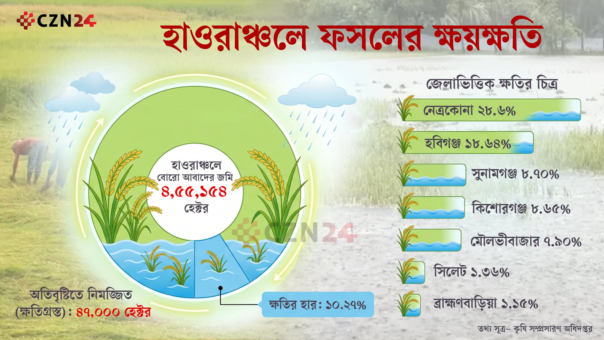 হাওরের কৃষকের স্বপ্ন কেড়ে নিলো পাহাড়ি ঢল