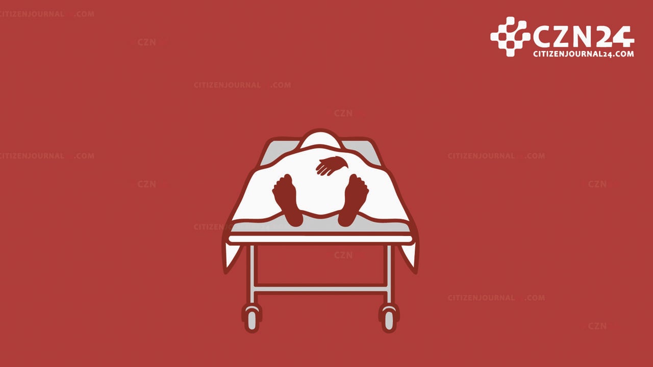 গফরগাঁওয়ে রিকশাচালককে পিটিয়ে হত্যা, ছাত্রদল নেতাসহ গ্রেপ্তার ৩