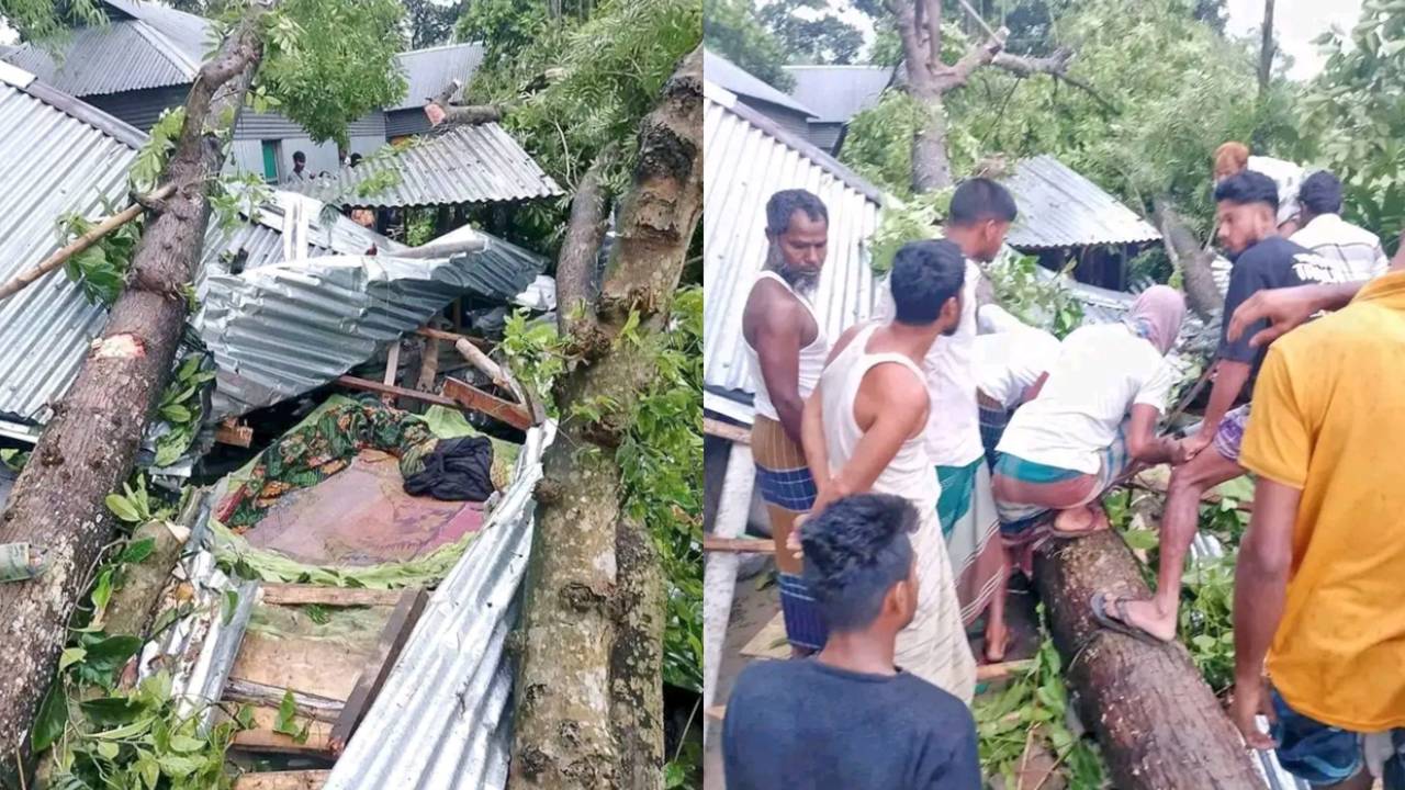 ঝড়ে গাছের নিচে চাপা পড়ে একই পরিবারের ৩ জন নিহত