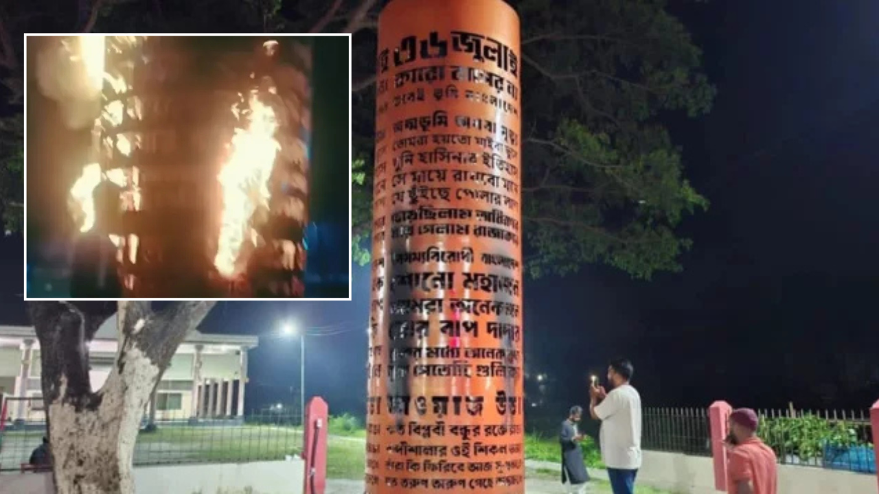 জুলাই স্মৃতিস্তম্ভে আগুন, ভিডিও ভাইরাল