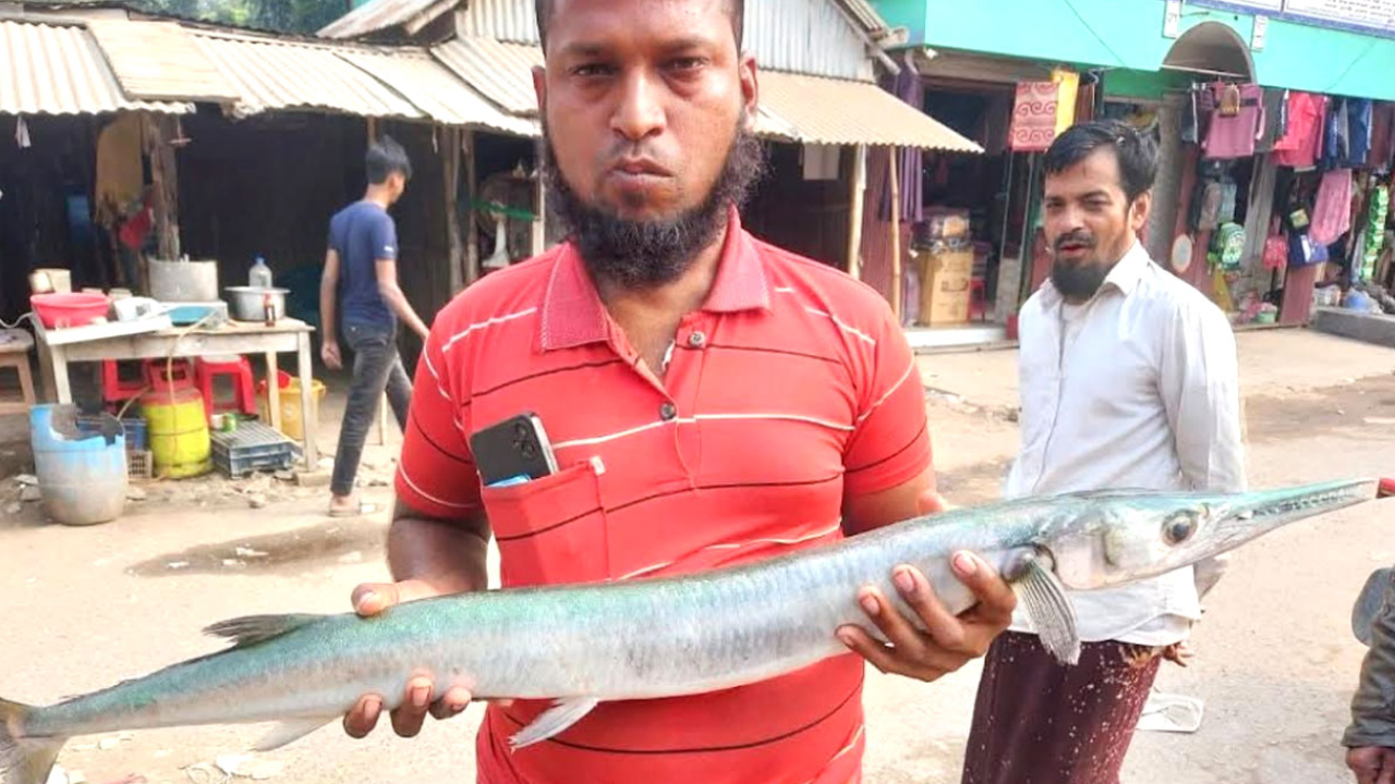 পুকুরে ধরা পড়ল ৮ কেজি ওজনের কাকিলা মাছ