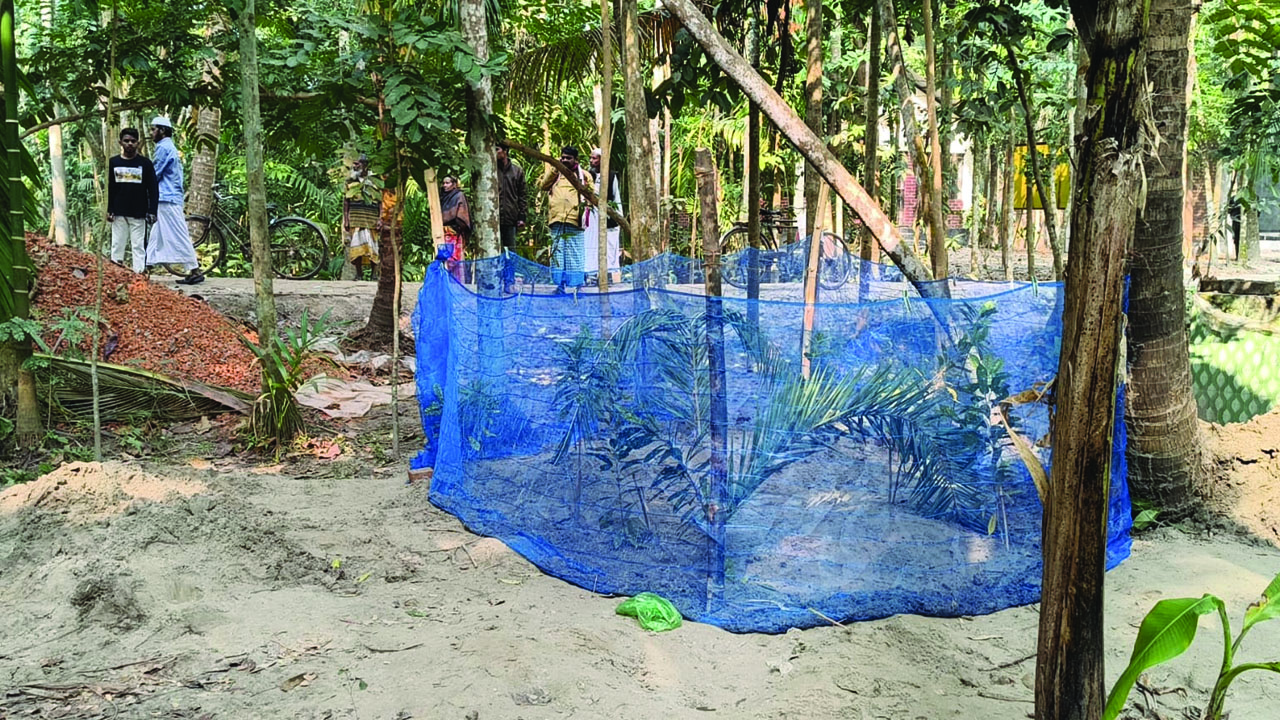 কবর
