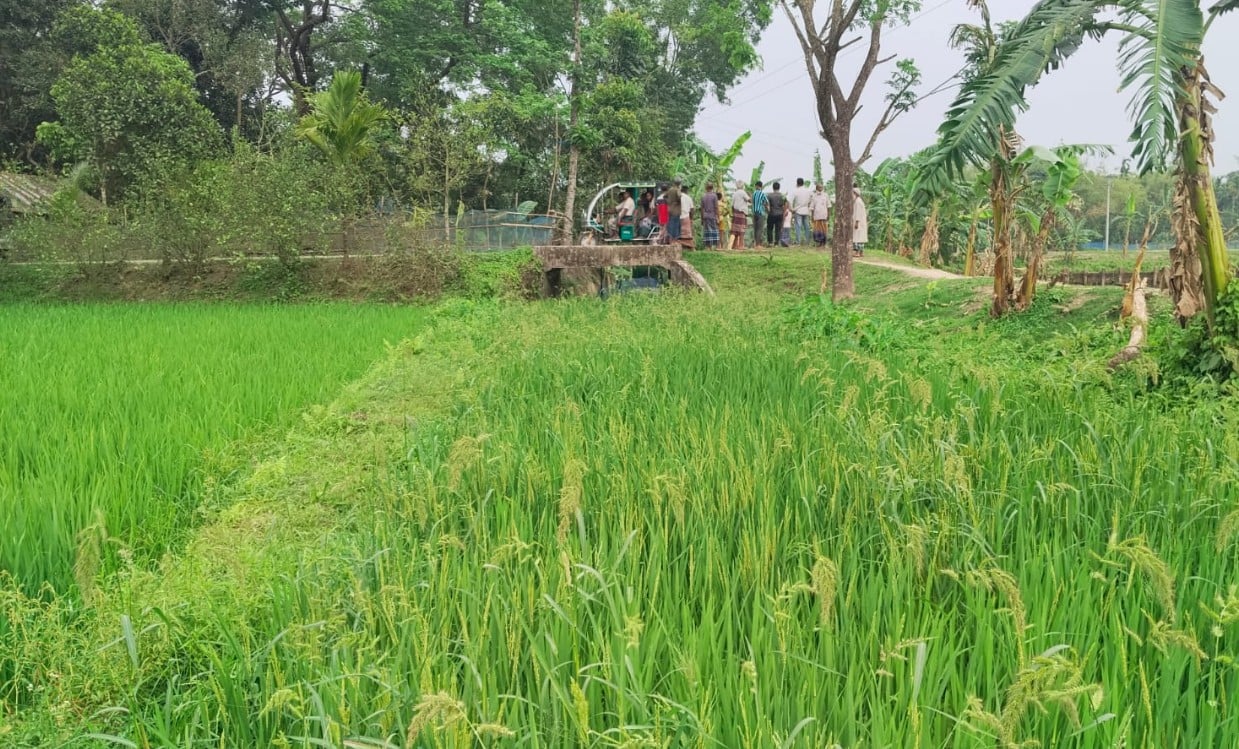 খাল ৫