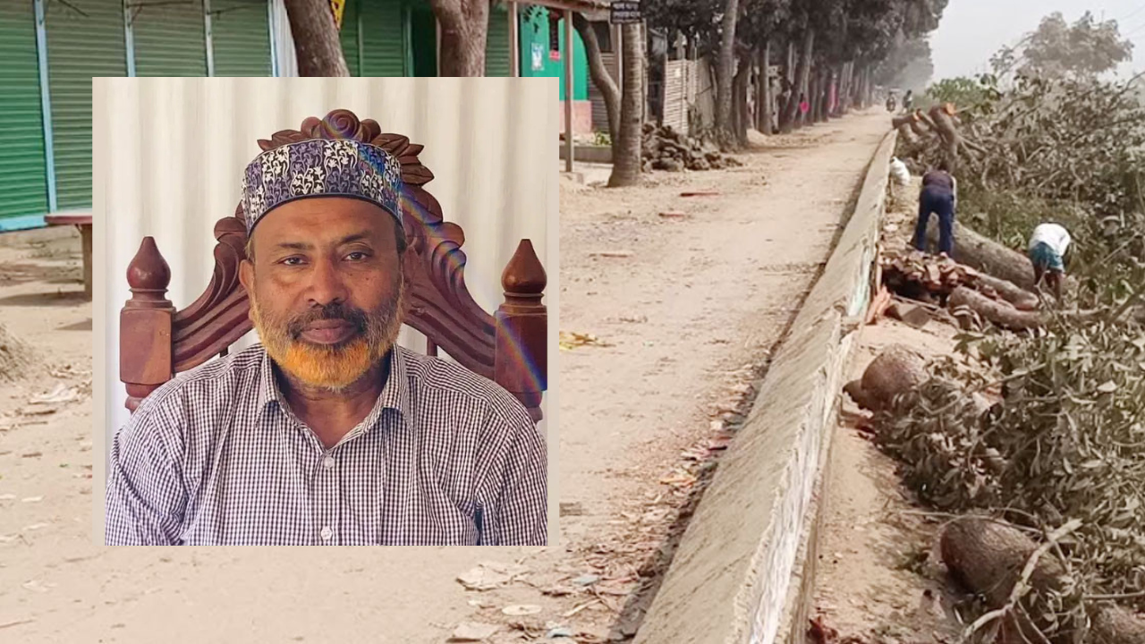 গাছ কাটা সেই বিএনপি নেতা বহিষ্কার