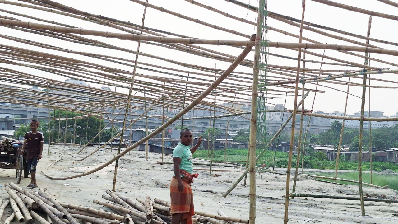 কোরবানি সামনে রেখে জোর প্রস্তুতি গরুর হাটে