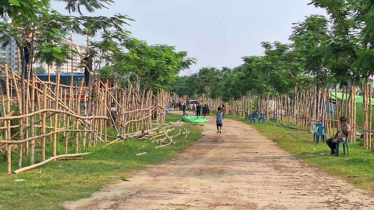 কোরবানি সামনে রেখে জোর প্রস্তুতি গরুর হাটে 1