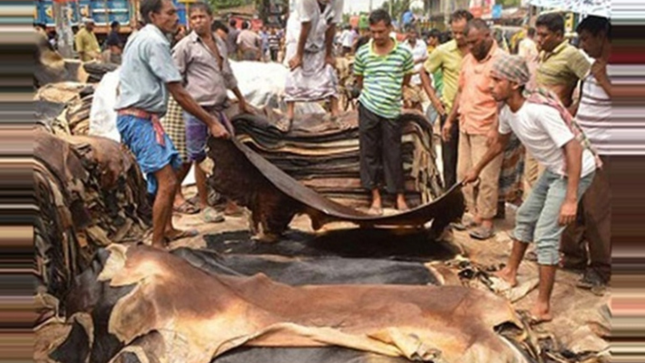 কোরবানির পশুর চামড়ার নতুন দাম নির্ধারণ
