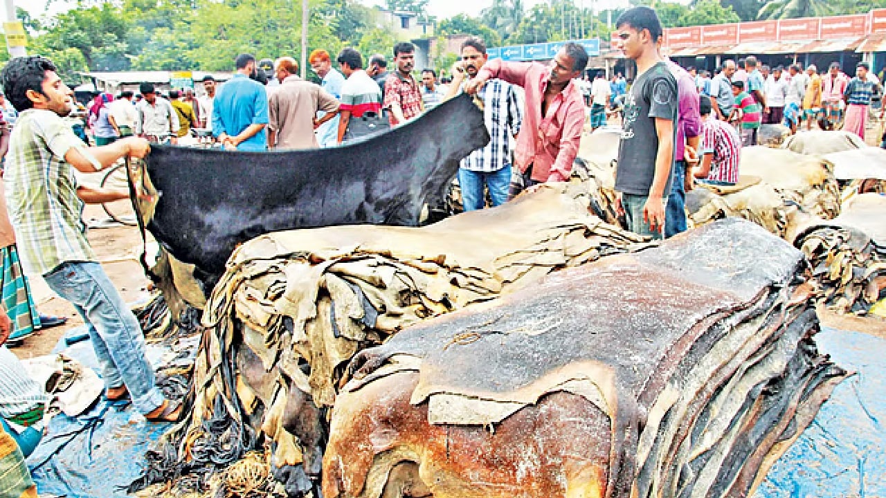 কোরবানির চামড়া কিনতে ঋণ দিতে বাংলাদেশ ব্যাংকের নির্দেশ