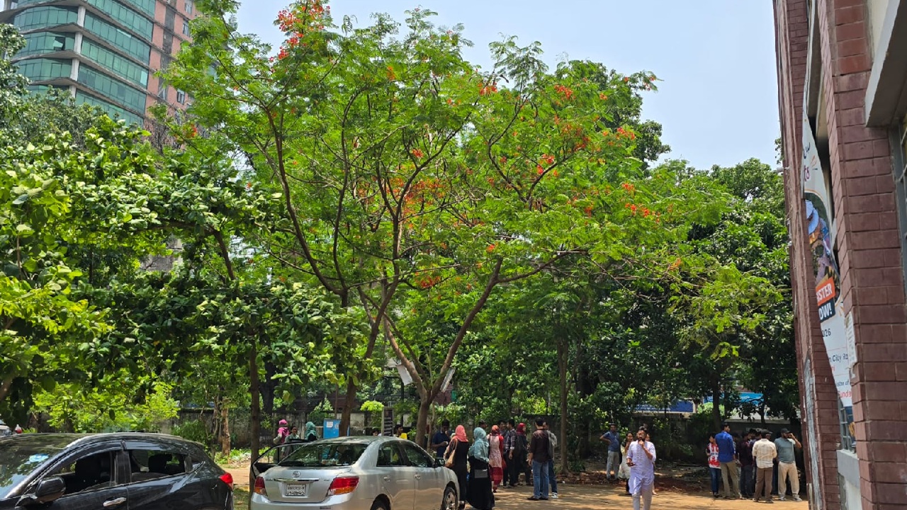 কৃষ্ণচূড়া ফুল তখন সৌন্দর্যের বার্তা নিয়ে এসেছে তিতুমীর কলেজ ক্যাম্পাসে। 3