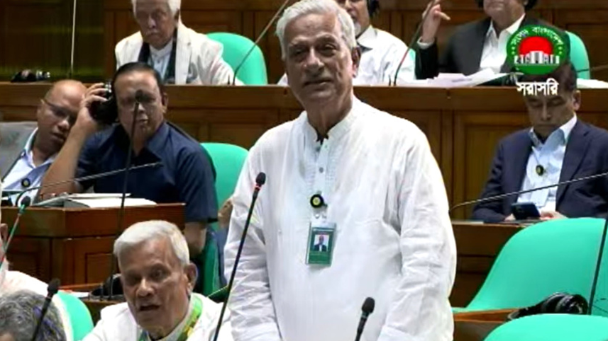 কিশোর গ্যাংয়ের দৌরাত্ম্য বন্ধের দাবি সংসদে
