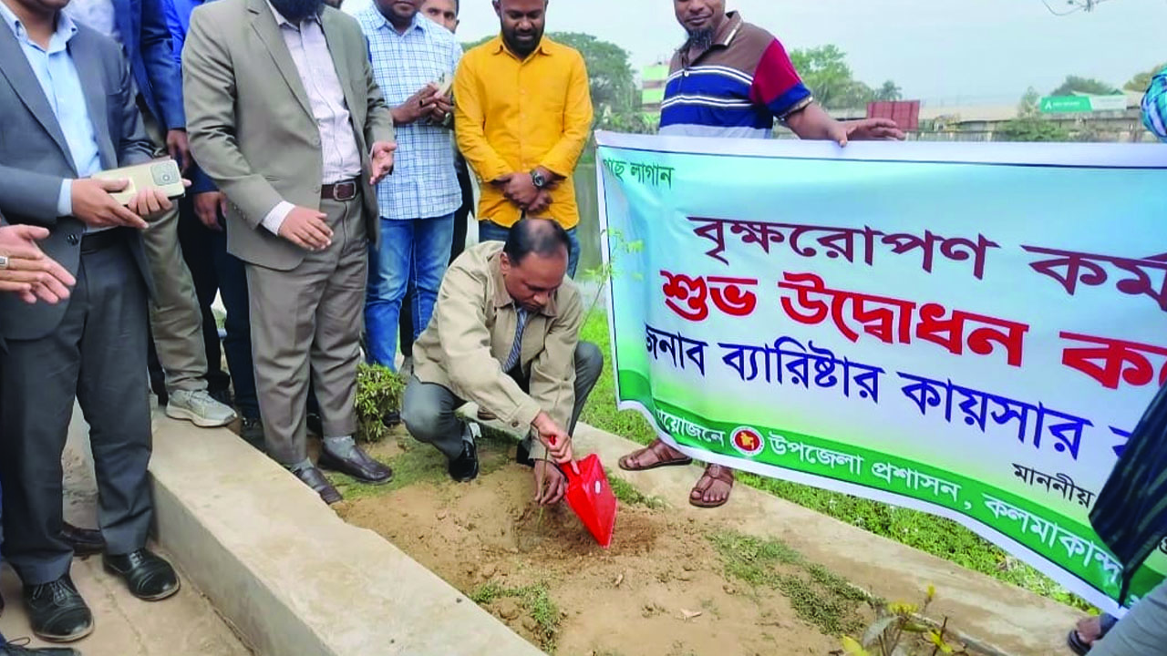নিজ এলাকায় বৃক্ষরোপণ করলেন ভূমি প্রতিমন্ত্রী