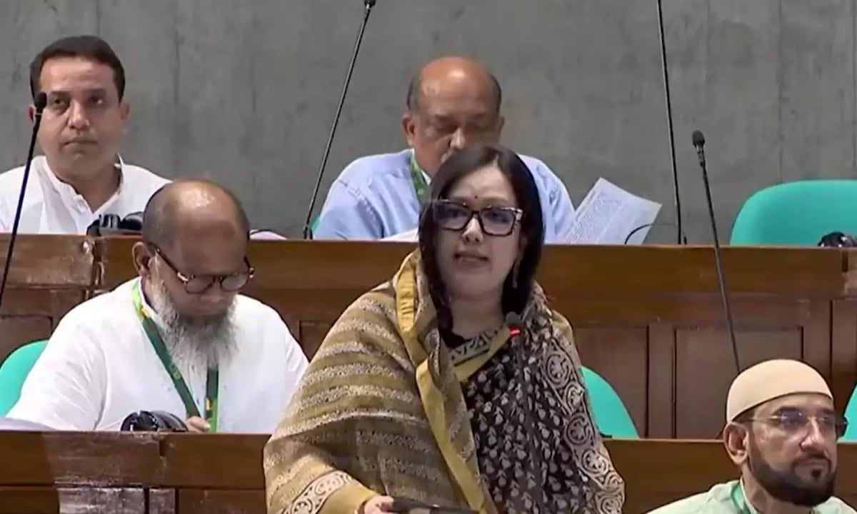 মবের শহরে পরিণত হয়েছে দেশ: রুমিন ফারহানা