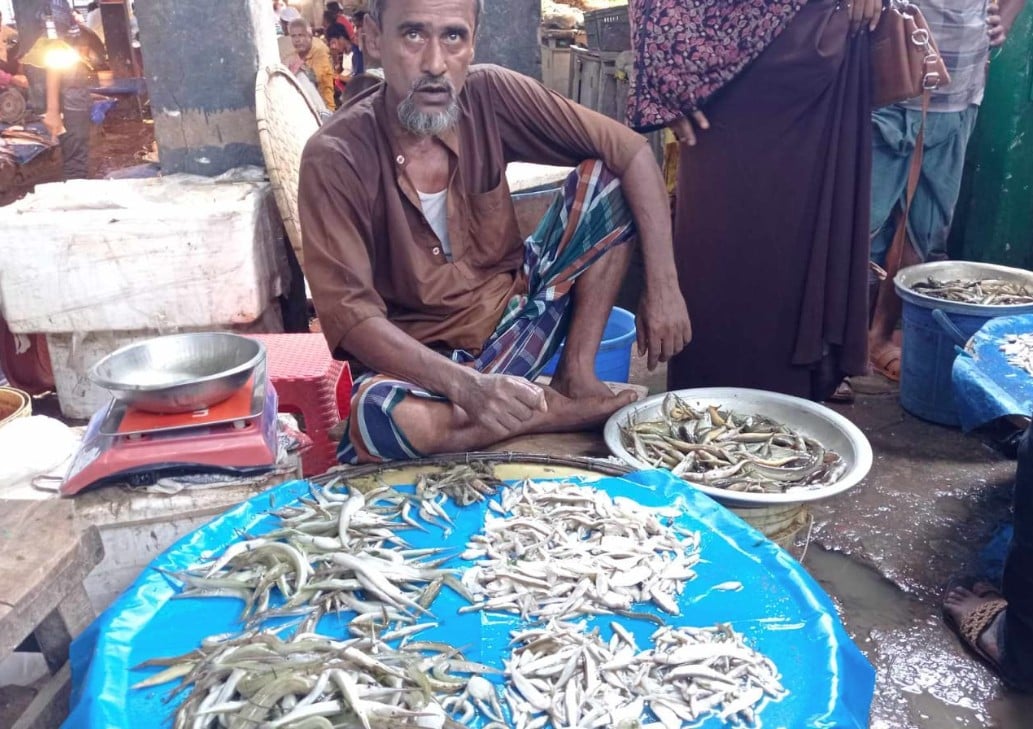 মাছ (3)