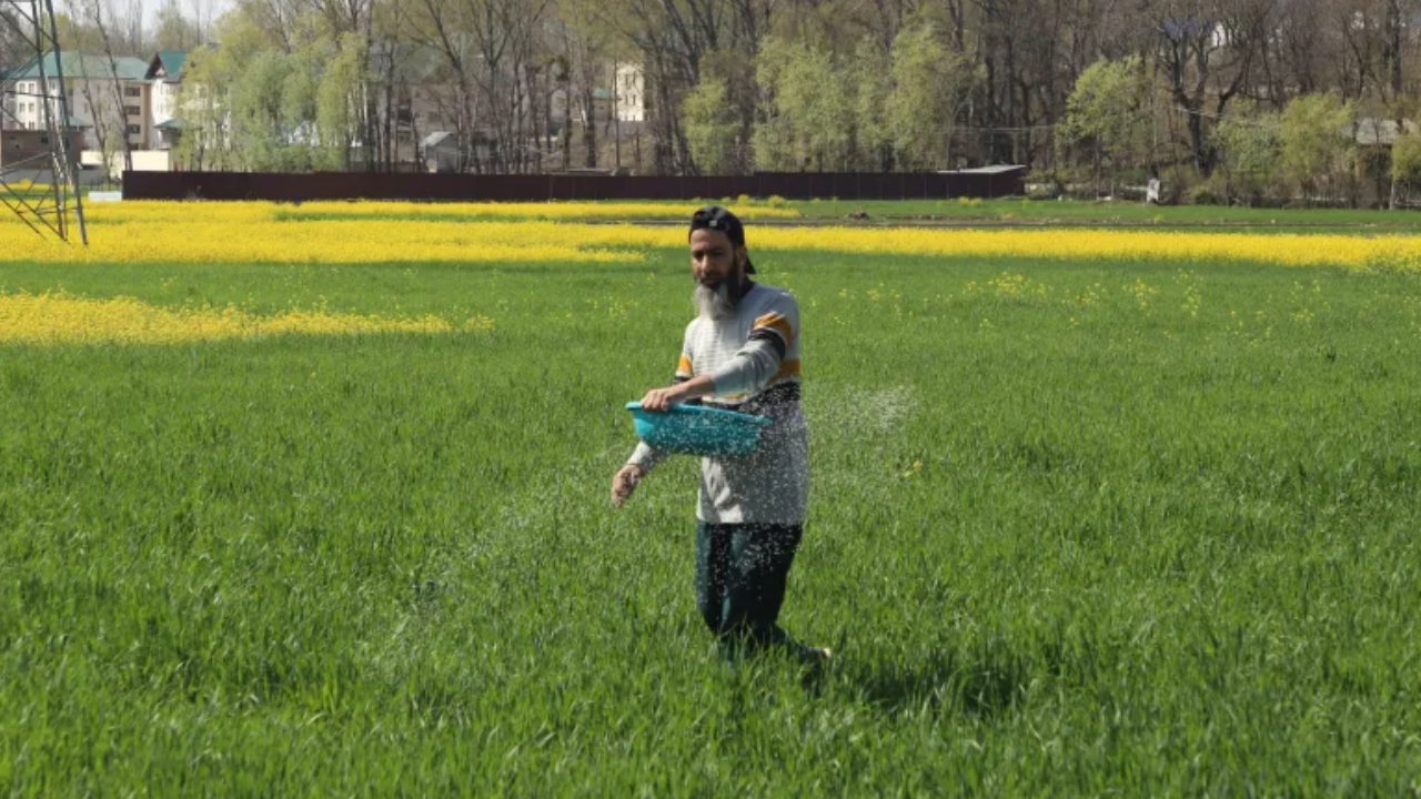 মধ্যপ্রাচ্যে উত্তেজনায় সার সংকটে দক্ষিণ এশিয়ার কৃষকরা