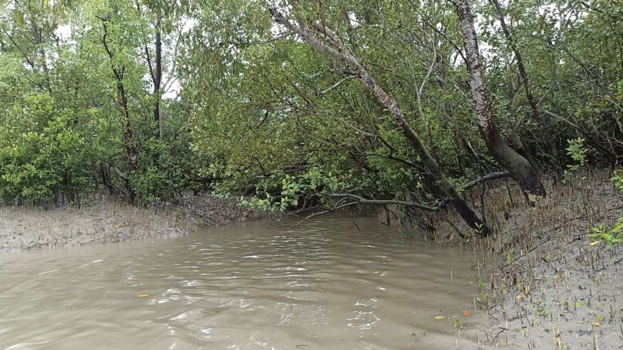 মুক্তিপণের দাবিতে ৮ জেলে অপহরণ