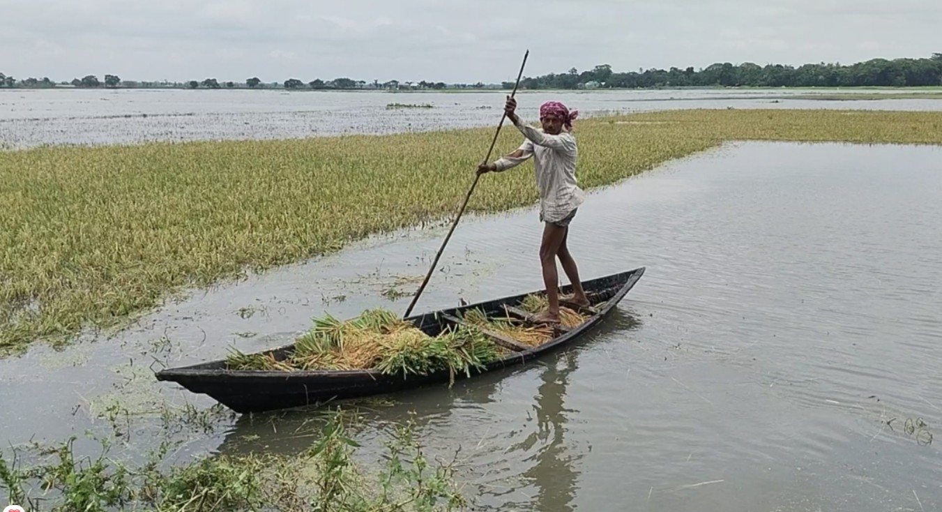 নৌকা