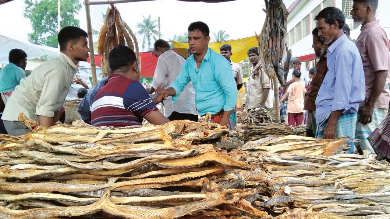 নাসিরনগরে শতবর্ষী বিনিময় প্রথার শুঁটকি মেলা