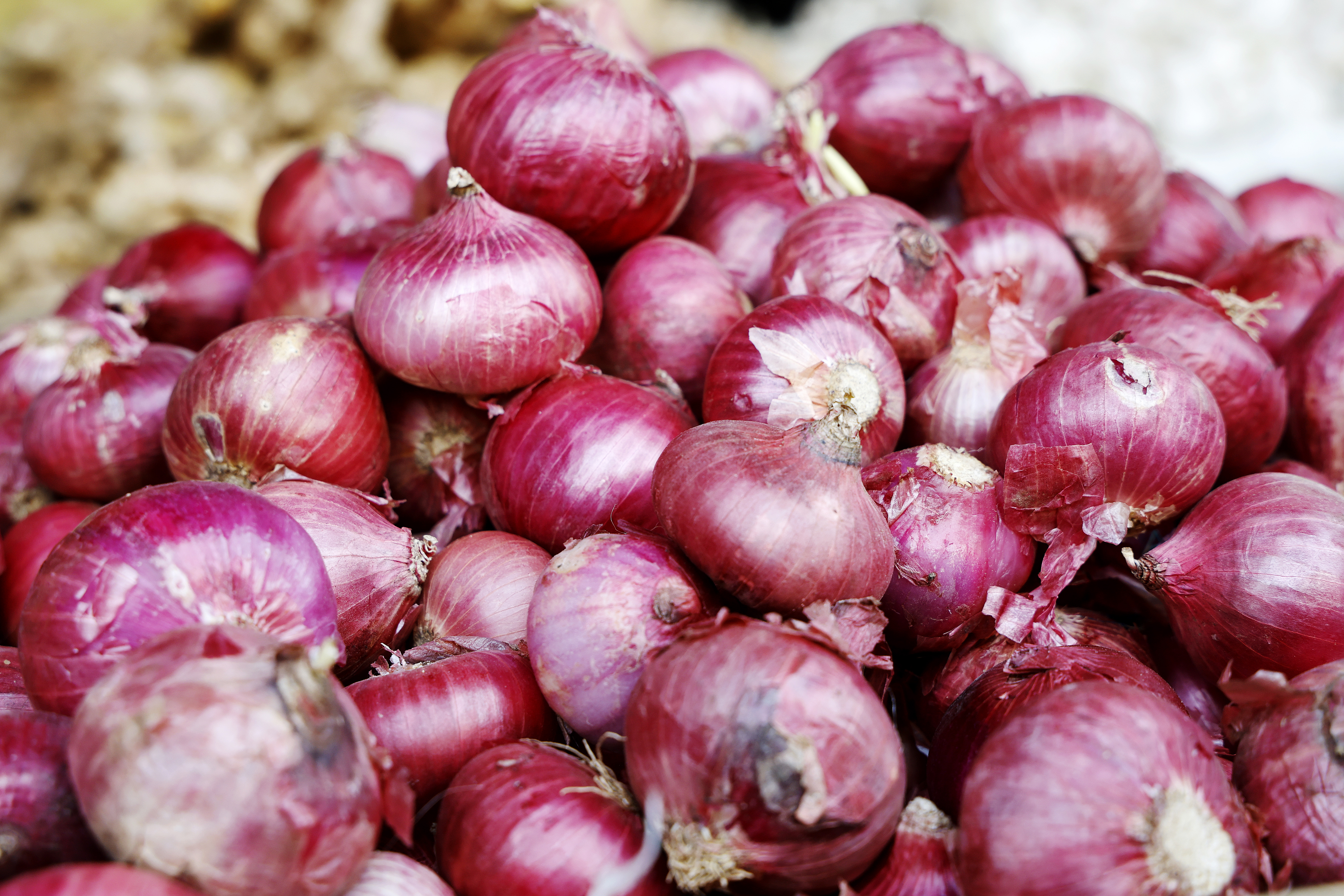 প্রথম রোজায় পেঁয়াজ দাম কেজিতে বেড়েছে ১০-১৫ টাকা