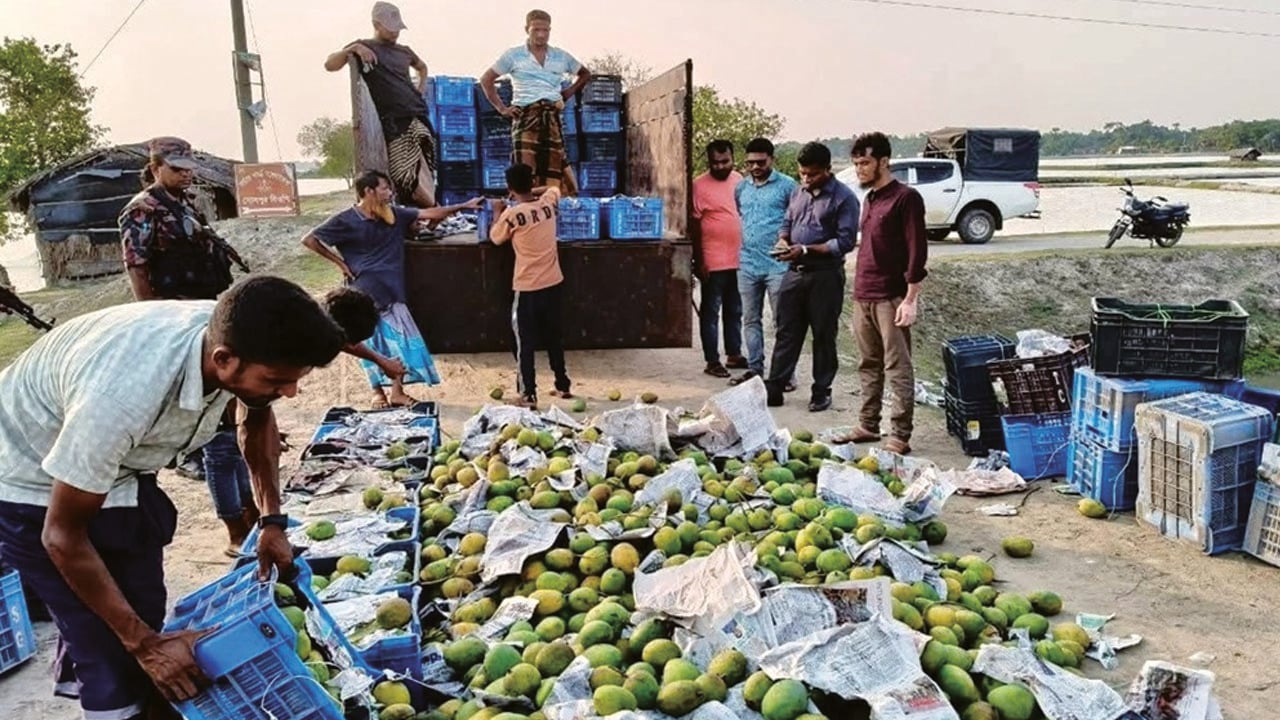 রাসায়নিক দিয়ে পাকানো ৩৩৬০ কেজি আম জব্দ