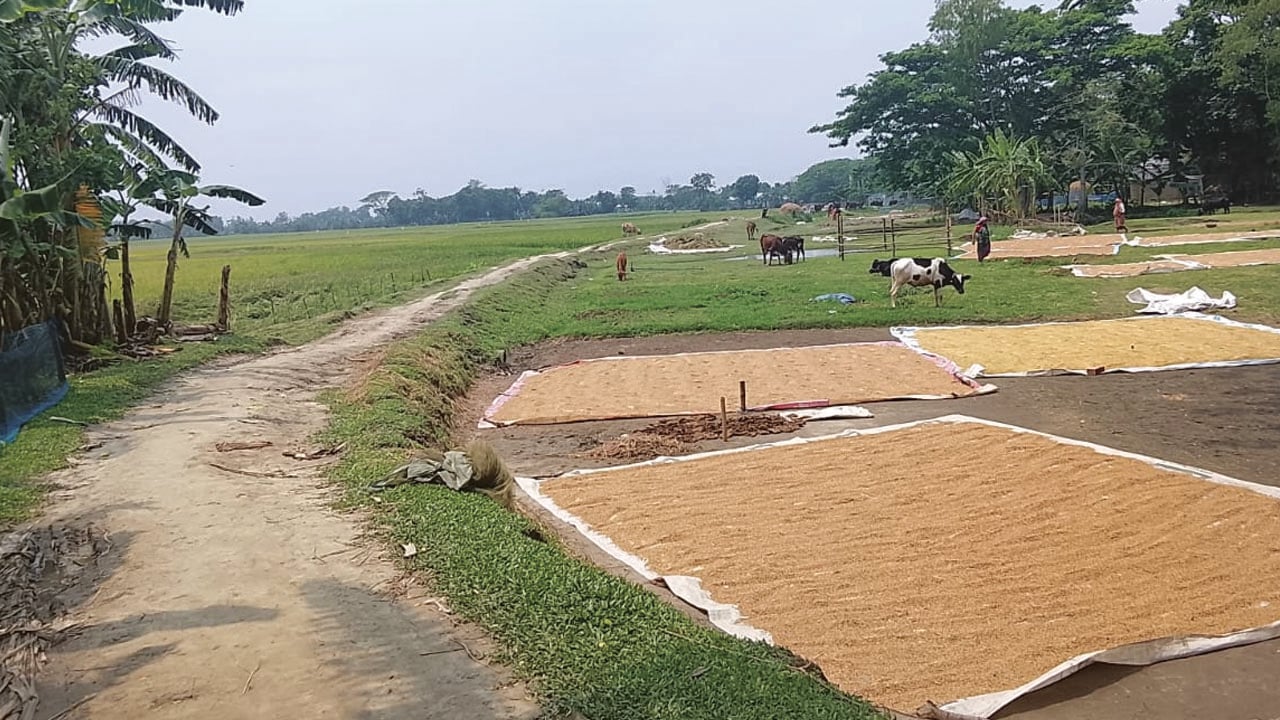 স্বাধীনতার ৫৫ বছরেও পাকা হয়নি সড়ক