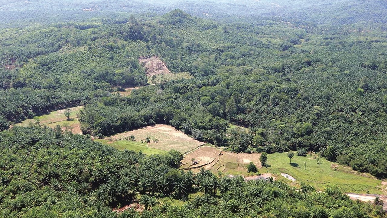 সবুজ টিলা ঢেকে যাচ্ছে কংক্রিটে