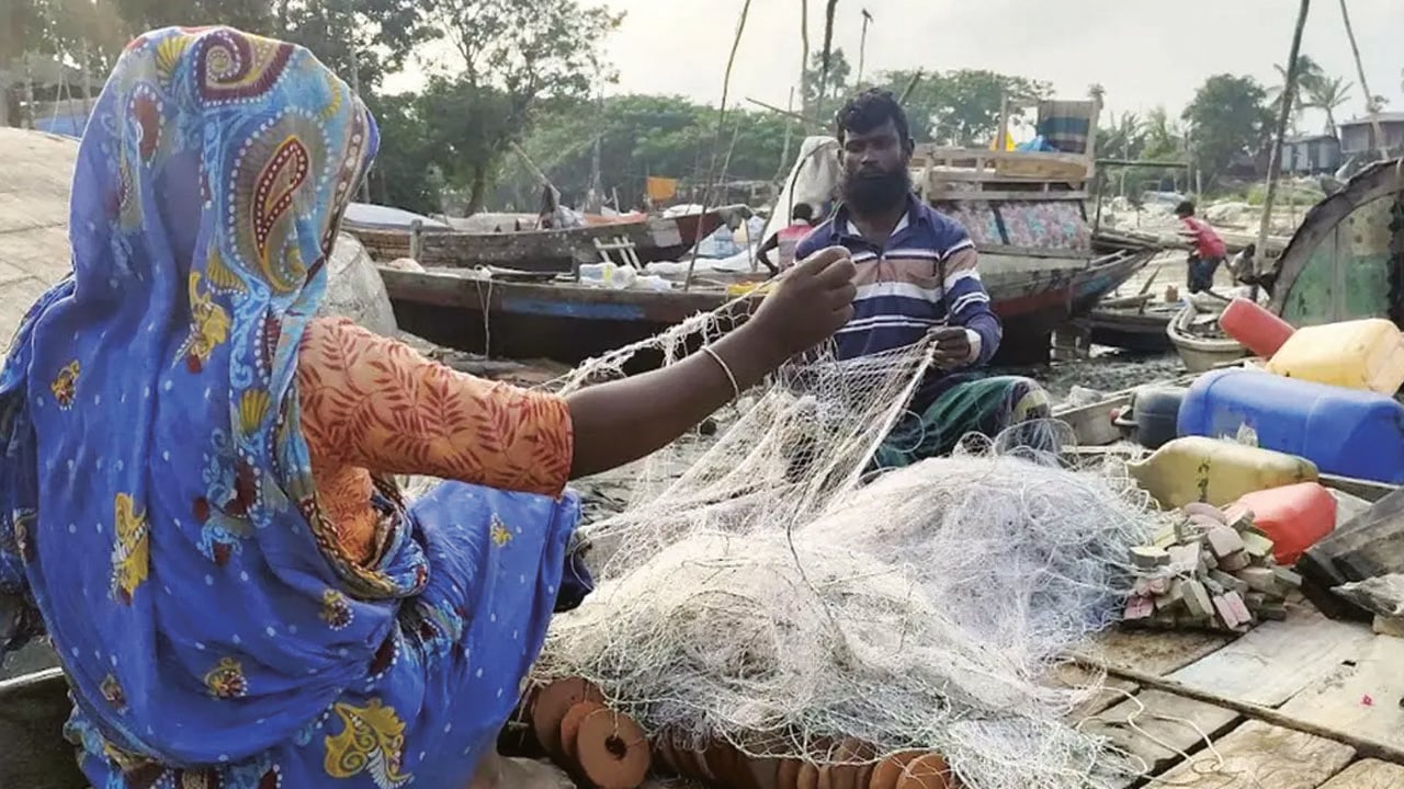 শুক্রবার থেকে বাজারে মিলবে ইলিশ