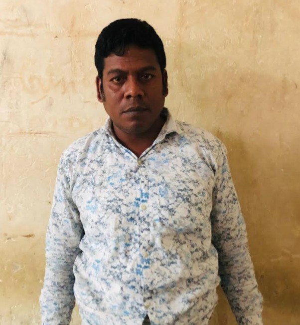 সেলিম