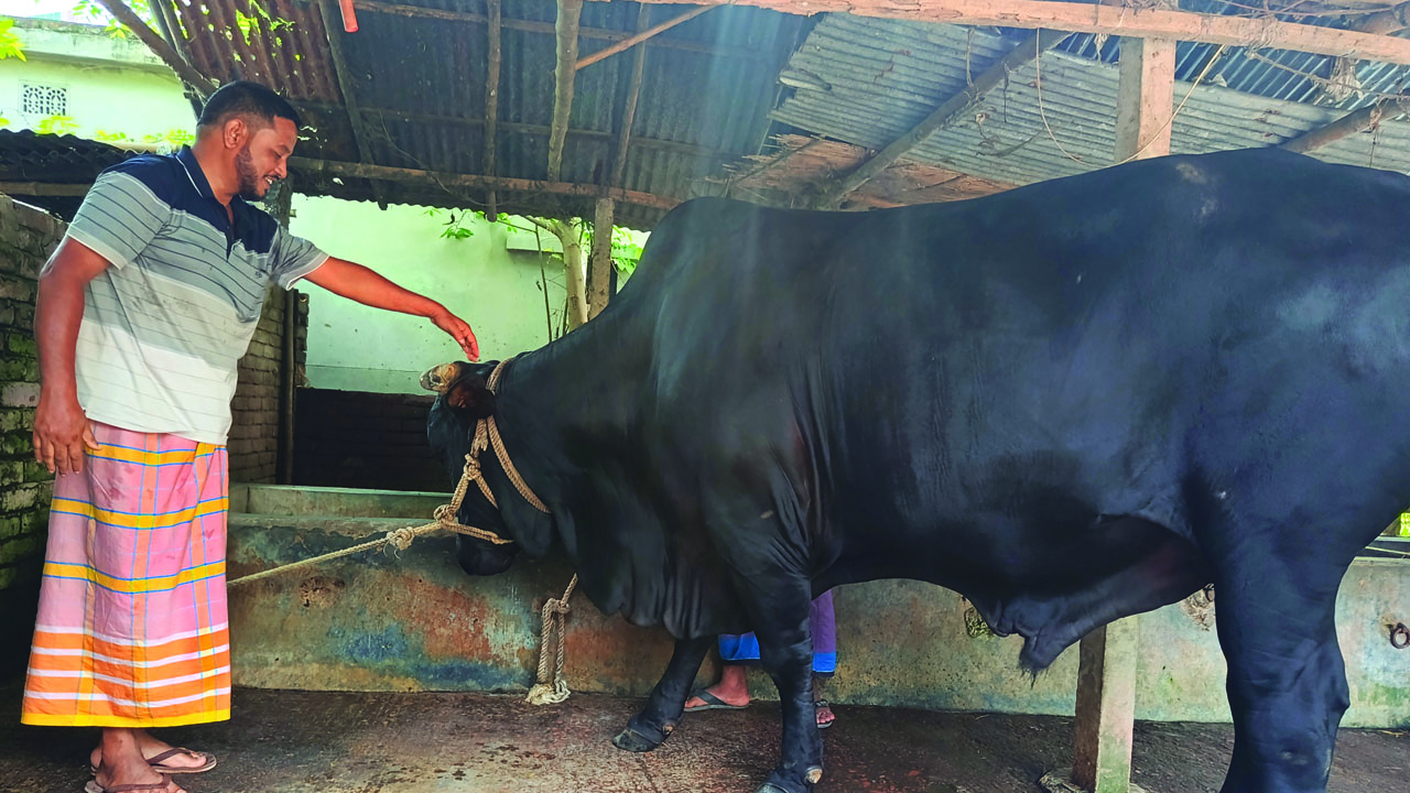 সপ্তাহে ৩ দিন কলা-আপেল খায় ‘বাহারাম বাদশা’