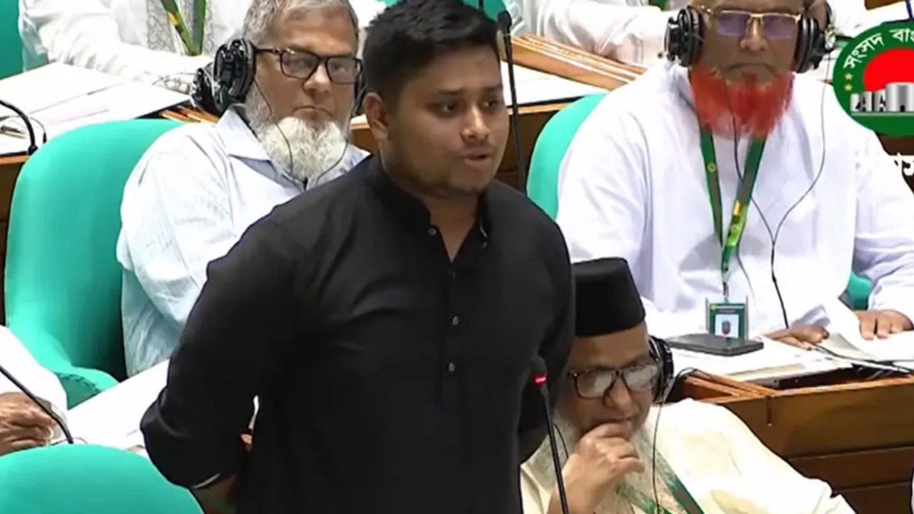 সংসদে দাঁড়িয়ে সরকারের সমালোচনা করতে চাই: হাসনাত আব্দুল্লাহ